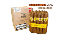 Xì gà Bolivar Belicosos Finos  hộp 25 điếu TPHCM 0901241888 - 256 Pasteur Q3